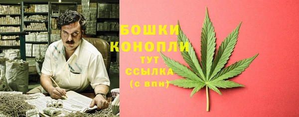 метадон Лагань